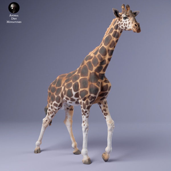 Resin 3D Printed Rothschild's Giraffe Male High detailed Resin in different sizes, indoor or outdoor
