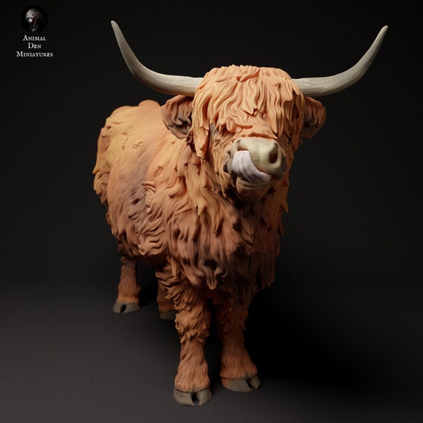 Resin 3D Printed highland Cow High detailed Resin in different sizes, indoor or outdoor