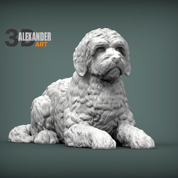 Resin 3D Printed goldendoodle High detailed Resin in different sizes, indoor or outdoor