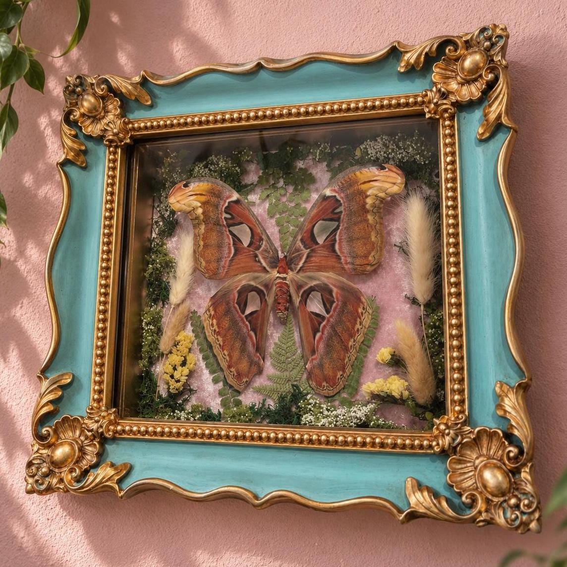 Antique Shadowbox Convex Frame - Etsy