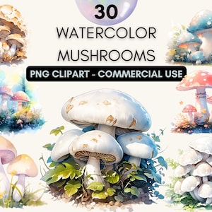Décoration champignon, aquarelle champignons Clipart, mignon forêt de fées Clip Art PNG, png champignon, mug champignon, usage commercial, téléchargement numérique