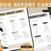 Dog Report Card Template, Printable Pet Sitter Report Form, Dog Boarding, Pet Sitting Report ...