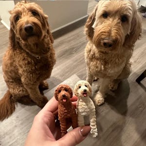 May include: Two brown and white dogs are sitting on a wooden floor. A hand is holding two small dog figurines, one brown and one white.