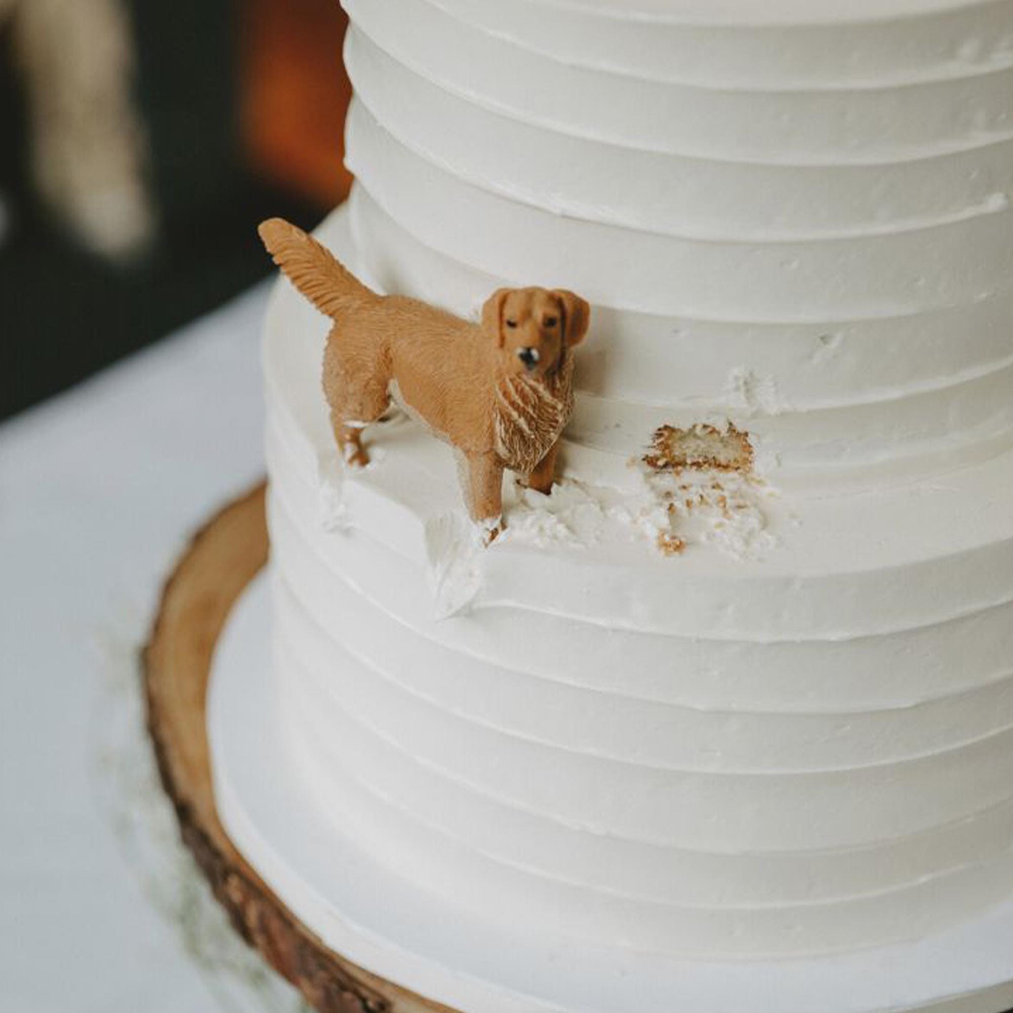Customized handmade cake topper sculpture, dog birthday cake topper. Anniversary cake topper sculpture, dog personalized wedding cake topper