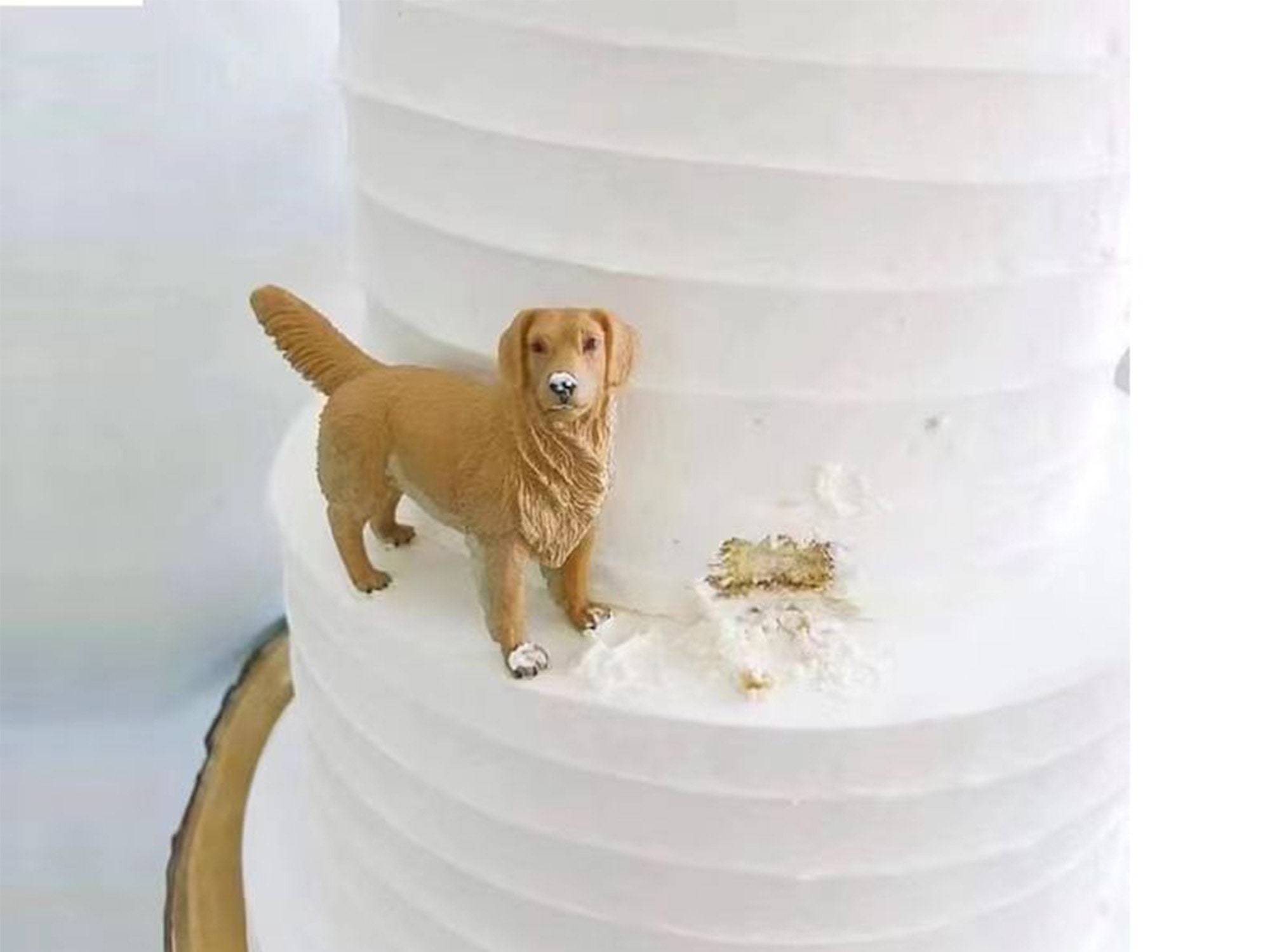 Chocolate lab best sale cake topper