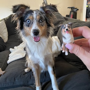 Puede incluir: Un perro pastor australiano azul merle sentado en un sofá, mirando a la cámara con la lengua fuera. Una pequeña figura de perro impresa en 3D está siendo sostenida en la mano de una persona.