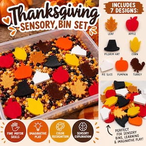 May include: A Thanksgiving sensory bin set featuring a clear plastic container filled with dried corn and beans, mixed with seven distinct shapes: orange pumpkins, red apples, yellow corn, black pilgrim hats, white pie slices, brown turkeys, and orange leaves.