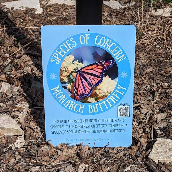 Butterfly Habitat Etsy