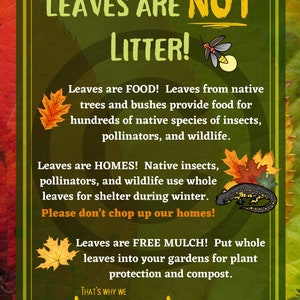 May include: A green and yellow sign with the text "Leaves are not litter!" and illustrations of leaves, a firefly, a salamander, and a leaf. The sign explains that leaves are food for insects and wildlife, homes for insects and wildlife, and free mulch for gardens. The sign encourages people to "Leave the leaves."