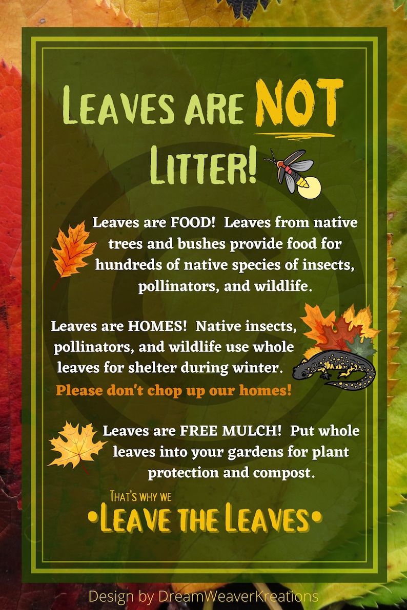 May include: A green and yellow sign with the text "Leaves are not litter!" and illustrations of leaves, a firefly, a salamander, and a leaf. The sign explains that leaves are food for insects and wildlife, homes for insects and wildlife, and free mulch for gardens. The sign encourages people to "Leave the leaves."