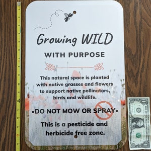Op de afbeelding: Een wit bord met zwarte tekst die "Growing WILD with PURPOSE" luidt. Het bord is omgeven door een veld met rode klaprozen en groen gras. Het bord bevat ook een bij-illustratie en de tekst "This natural space is planted with native grasses and flowers to support native pollinators, birds and wildlife. &bull;DO NOT MOW OR SPRAY. This is a pesticide and herbicide free zone. Design by, DreamWeaverKreations"
