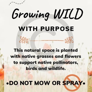 Pesticide Free Garden Sign: Native Plants and Pollinator Habitat bild 4