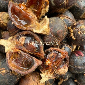 GoronTula Fruits Azanza garckeana Snot Apple Fruits Silky Kola Fresh Fully Ripened Juicy Fruit Varied Sizes image 3