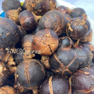 GoronTula Fruits Azanza garckeana Snot Apple Fruits Silky Kola Fresh Fully Ripened Juicy  Fruit  Varied Sizes