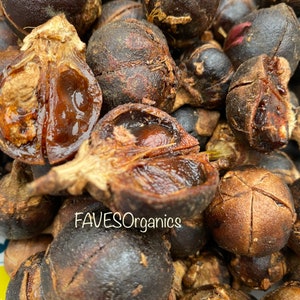 GoronTula Fruits Azanza garckeana Snot Apple Fruits Silky Kola Fresh Fully Ripened Juicy Fruit Varied Sizes image 6