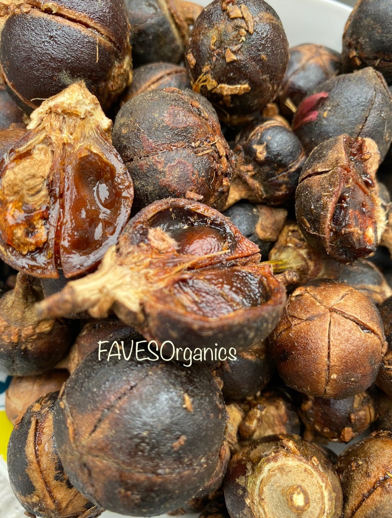 GoronTula Fruits Azanza garckeana Snot Apple Fruits Silky Kola Fresh Fully Ripened Juicy Fruit Varied Sizes image 6