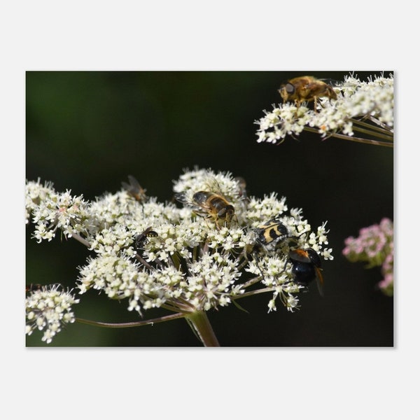 Veggdekor: Blomster og bier