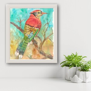Tropical Cardinal - 8&quot;x10&quot; giclee print on gallery paper