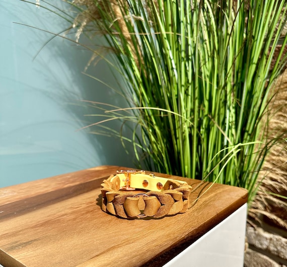 YELL OH BELLO Leather & Biothane Dog Collar, Brown/Pastel Yellow