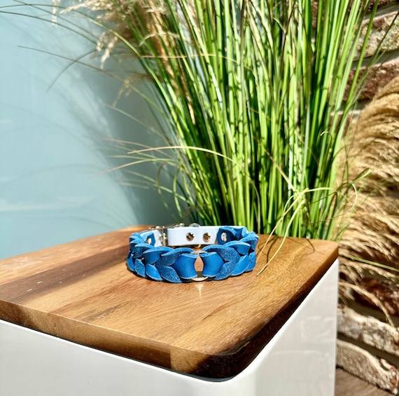 YELL OH BELLO Dog Collar made of Leather & Biothane, Blue/Pastel Blue, Pattern