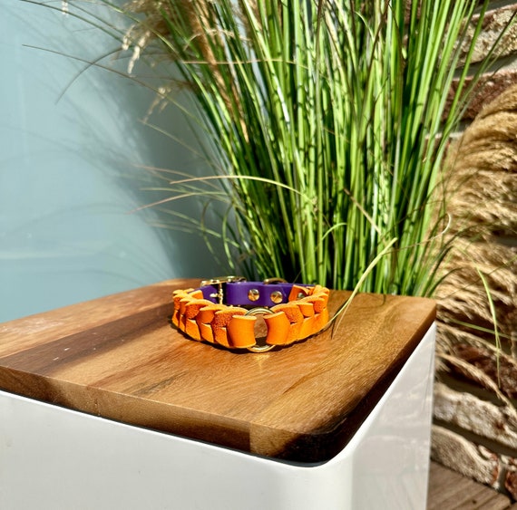 YELL OH BELLO Dog Collar made of Leather & Biothane, Orange/Purple, Pattern