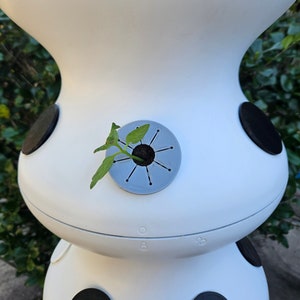 Lettuce Grow Algae Covers, Lettuce Grow covers, Farmstand caps, hydroponics hole covers, pod covers for farmstand, hydroponics net cup lid