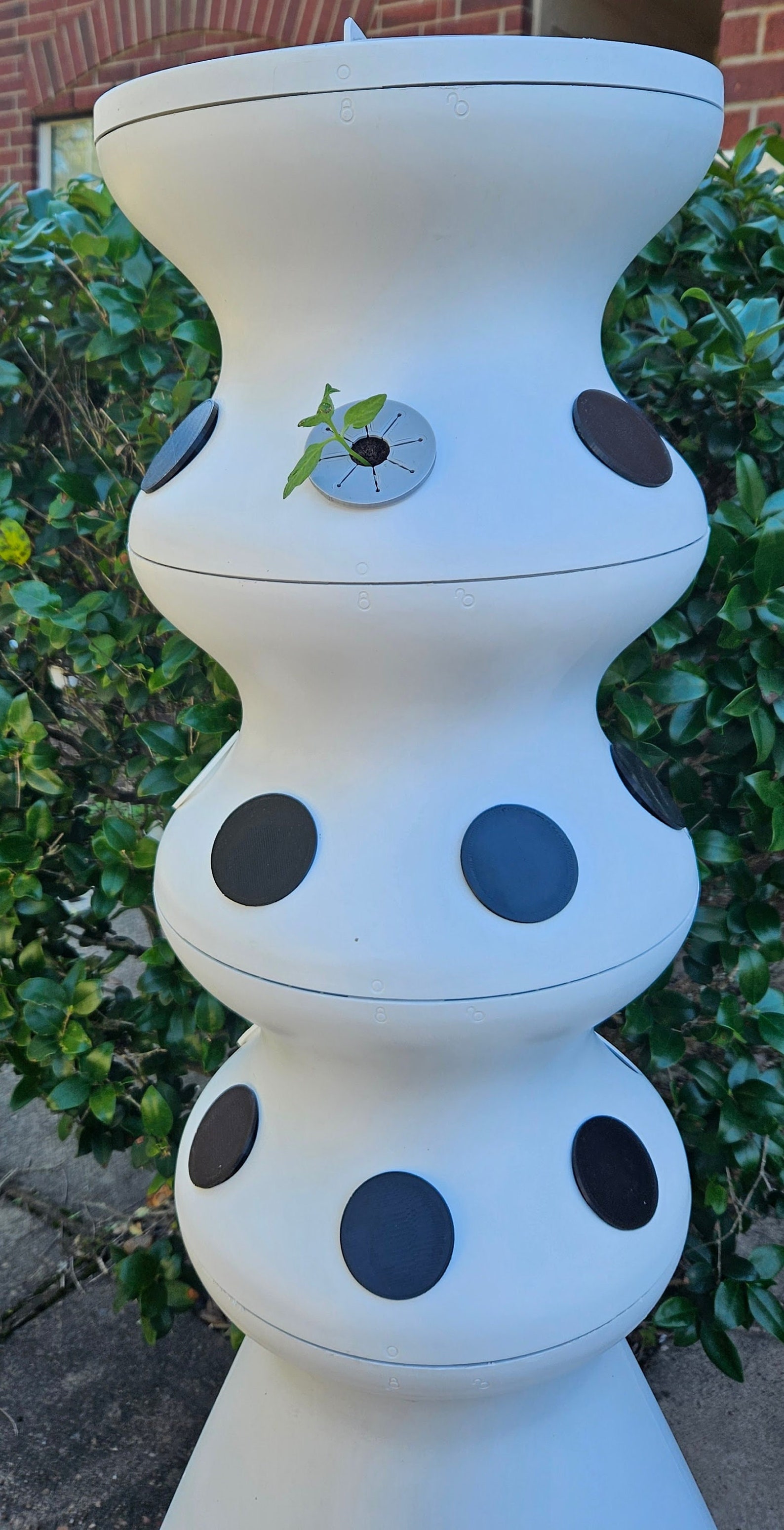 Lettuce Grow Algae Covers, Lettuce Grow Covers, Farmstand Caps