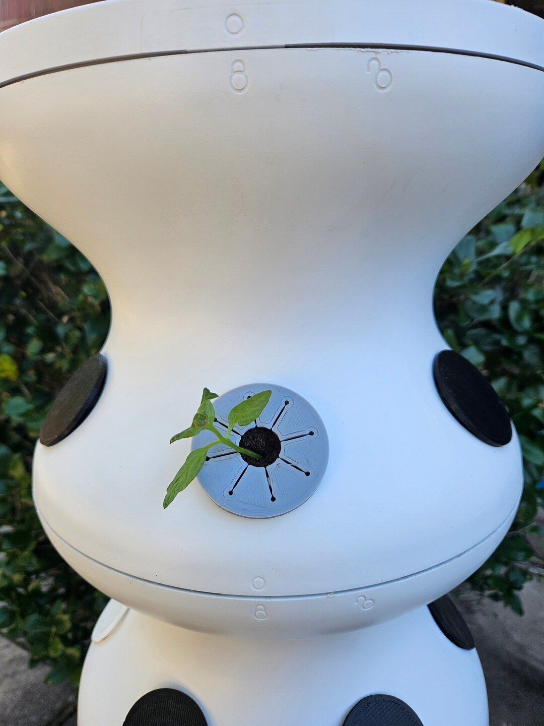 Lettuce Grow Algae Covers, Lettuce Grow Covers, Farmstand Caps