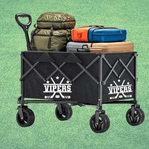 Custom Team Logo Decal | One Color HTV Iron On Transfer for Sports Wagons, Bat Bags & Team Gear