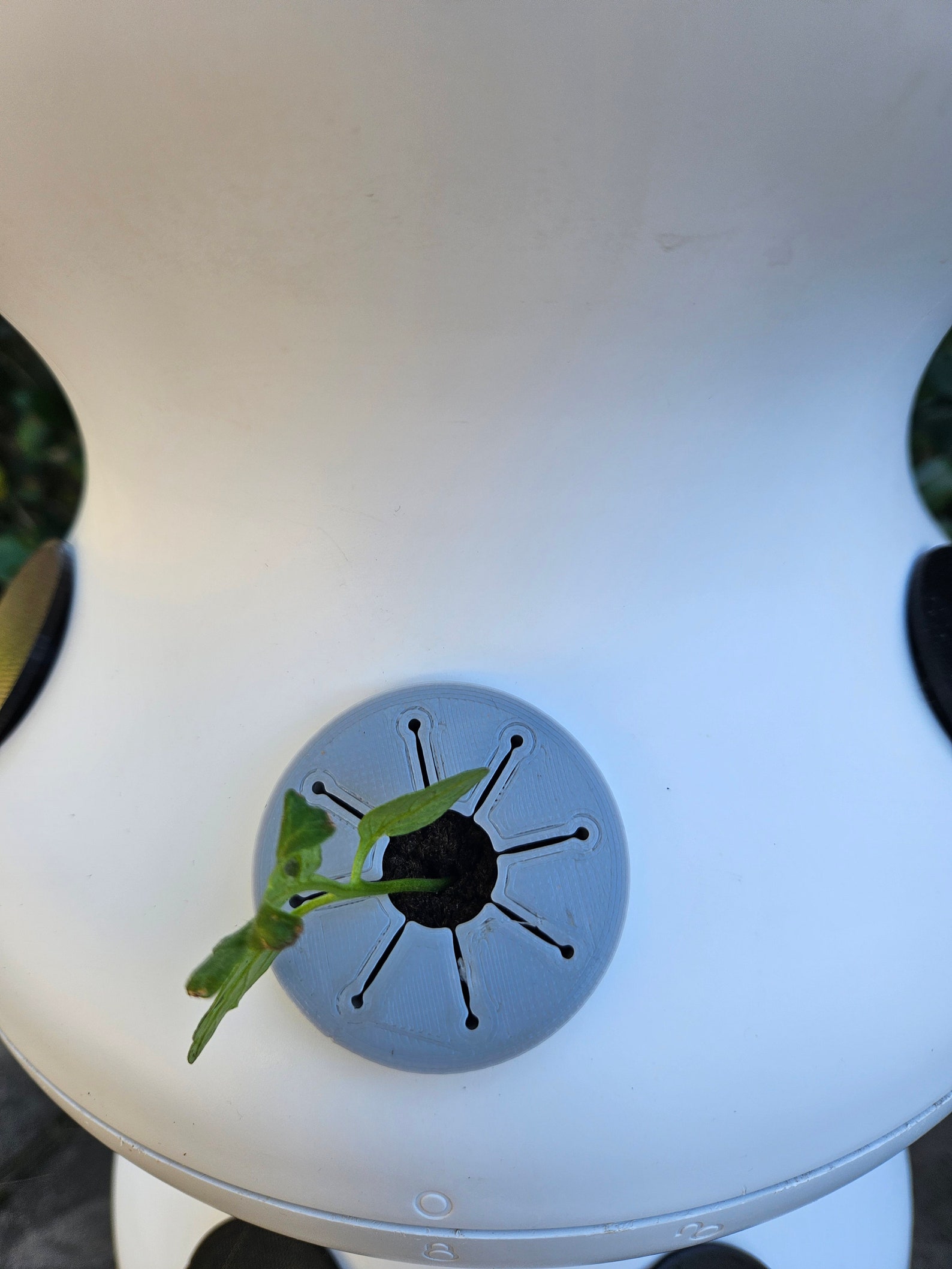 Lettuce Grow Algae Covers, Lettuce Grow Covers, Farmstand Caps