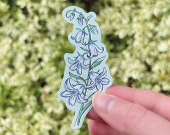 Bluebell Flower Sticker