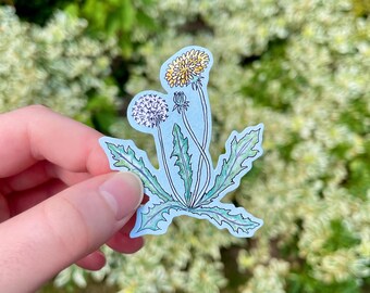Dandelion Flower Sticker