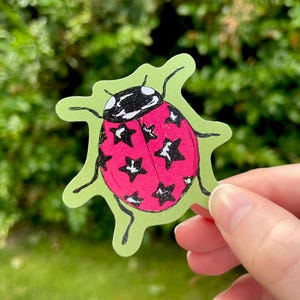 May include: A die-cut sticker featuring a ladybird illustration with a bright pink body covered in black star patterns. The ladybird has a black head with white highlights and black legs, all set against a light green background shape.