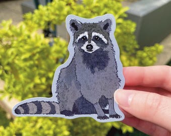 Raccoon Sticker