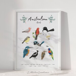 Australian Watercolor Birds Poster Digital Download, PNG PRINTABLE, Bird Wall Art, Educational Poster, Kids Room Nursery Playroom Wall Art
