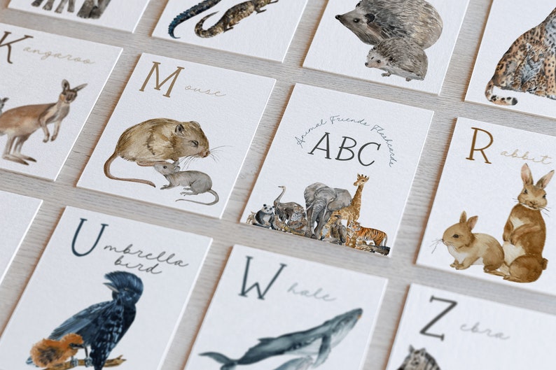 May include: A set of alphabet flash cards featuring watercolor illustrations of animals. Each card has a letter of the alphabet and the name of an animal that starts with that letter. For example, the card for "K" shows a kangaroo, and the card for "M" shows a mouse.