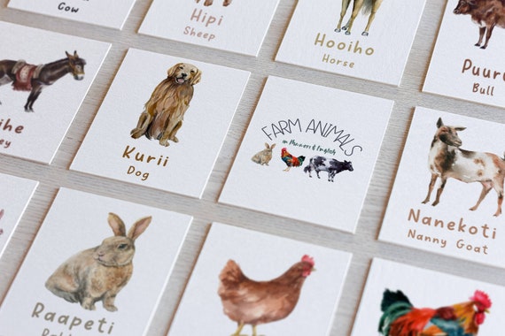 Farm Animals in Maori & English Flashcards, Instant Digital Download, PNG printable, Educational Watercolour art, Animal Flashcards