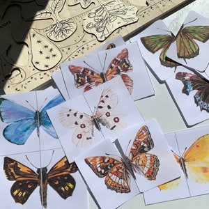 20 Watercolor Matching Butterfly Cards, Insect Cards, Instant Digital Download, PNG printable,Educational Watercolor art, Kids Activities