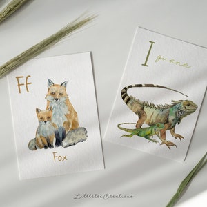 May include: Two watercolor illustrations on white cards. The first card features a fox and a baby fox with the letter "F" and the word "Fox". The second card features an iguana with the letter "I" and the word "iguana".