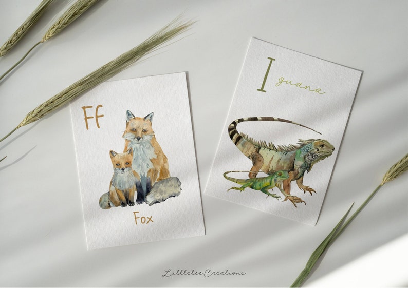 May include: Two watercolor illustrations on white cards. The first card features a fox and a baby fox with the letter "F" and the word "Fox". The second card features an iguana with the letter "I" and the word "iguana".