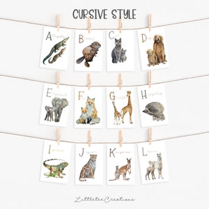 May include: A set of 12 printable alphabet cards featuring watercolor illustrations of animals in cursive font. Each card features a letter of the alphabet and a corresponding animal, such as an alligator for A, a beaver for B, and a cat for C.