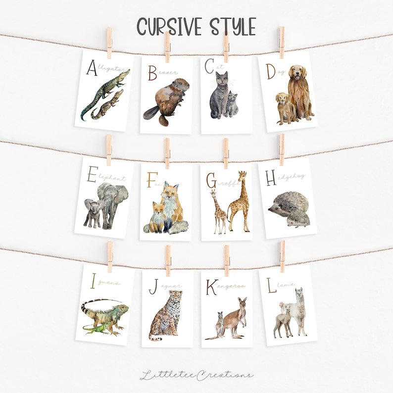 May include: A set of 12 printable alphabet cards featuring watercolor illustrations of animals in cursive font. Each card features a letter of the alphabet and a corresponding animal, such as an alligator for A, a beaver for B, and a cat for C.