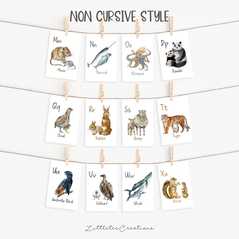 May include: A set of 12 alphabet flashcards featuring watercolor illustrations of animals. Each card has a letter and a corresponding animal name. The letters are in a non-cursive font. The animals include a mouse, narwhal, octopus, panda, quail, rabbit, sheep, tiger, umbrella bird, vulture, whale, and xerus.