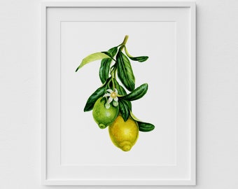 Estampado de frutas de limón, Cartel de arte amarillo de acuarela, Hojas verdes de rama de limón