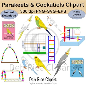 Clipart di parrocchetti e calopsitte - parrocchetti, calopsitte, parco giochi, altalena per uccelli con perline, scatole di semi per uccelli, gabbia per uccelli, PNG, vettore SVG ed EPS