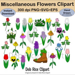 Verschiedene Blumen Clipart - Sonnenhut, Iris, Tulpen, Narzisse, Calla, Hyazinthe, Maiglöckchen, Rosen PNG, Vektor SVG und EPS