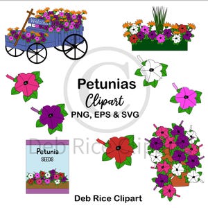 Petunias Clipart - Flowers, Wagon Cart, Window Planter, Clay Pot, PNG, EPS, SVG