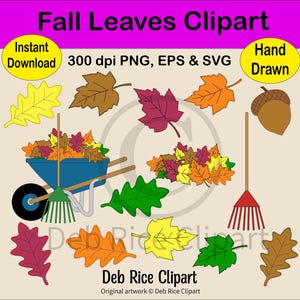 Fall Leaves Clipart - Wheelbarrow, Rake, Maple & Oak Leaves, PNG, EPS, SVG, Instant Digital Download