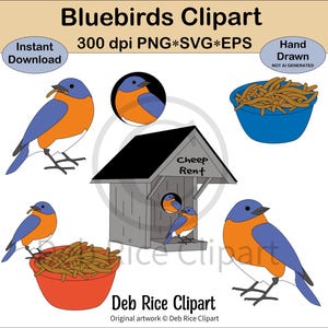 Drosseln Clipart - Drossel frisst Mehlwurm, Drosseln im Cheep Rent Vogelhaus, Mehlwurmschüssel, PNG, Vektor SVG und EPS