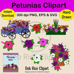 Petunias Clipart - Flowers, Wagon, Planter, PNG, EPS, SVG, Instant Digital Download
